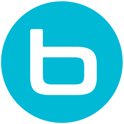 The Bid Clinic